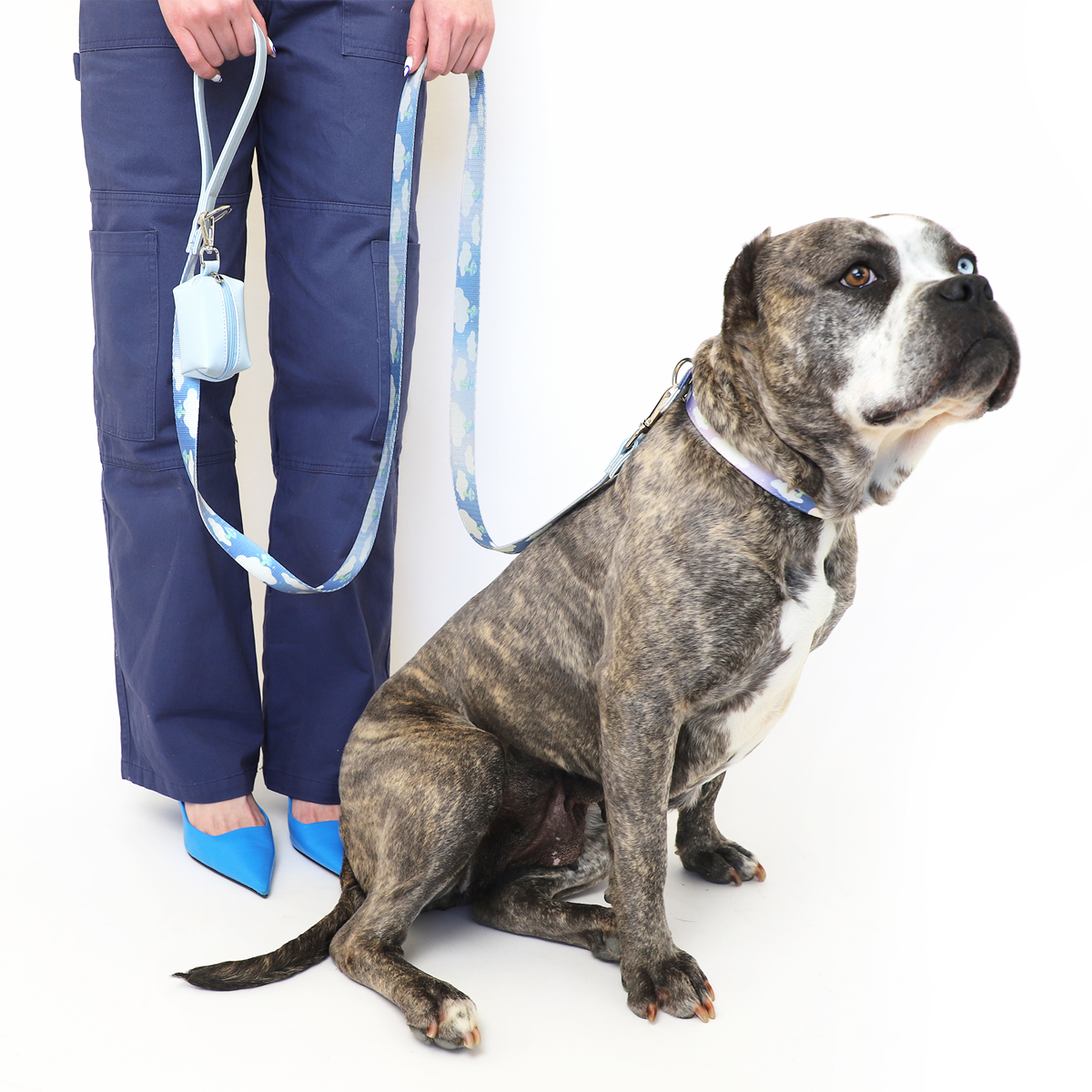 Ruby Leash