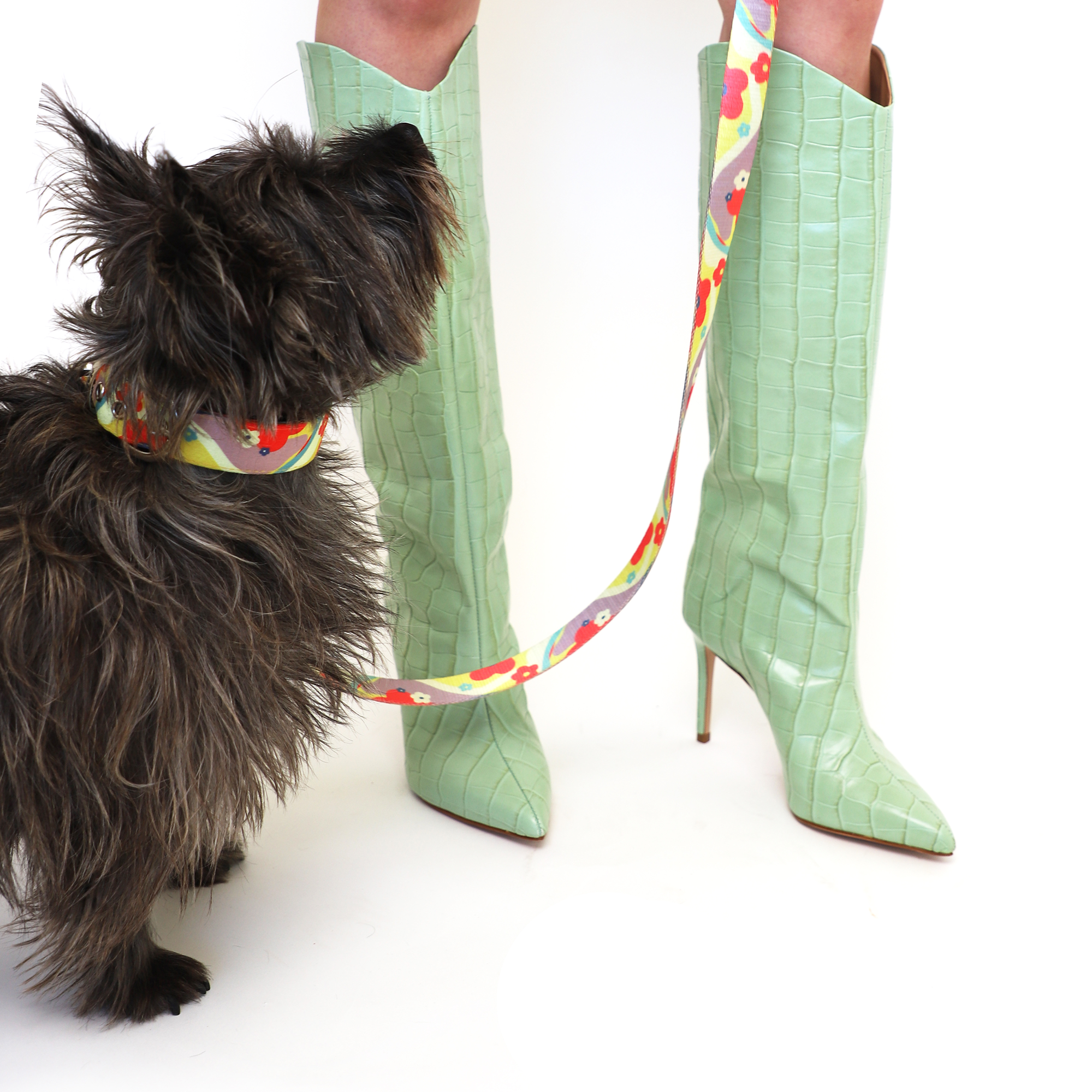 Daisy Leash