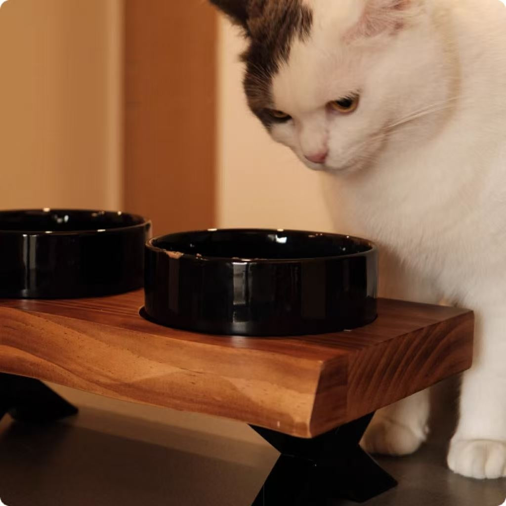 Dog Bowls Ceramic Food Water Dishes with Anti-Tumble Wood Stand - Detail Angle 3 | Majestic Pet Kingdom