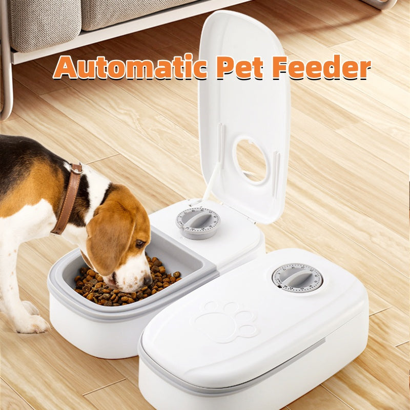 Automatic Pet Feeder Smart Food Dispenser For Cats Dogs Timer Stainless Steel Bowl Auto Dog Cat Pet Feeding Pets Supplies - Majestic Pet Kingdom