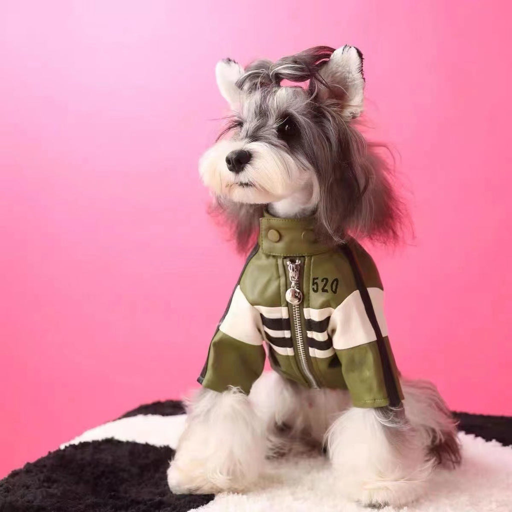 Dog Autumnwinter Clothing Motorcycle Jacket Coat - Majestic Pet Kingdom