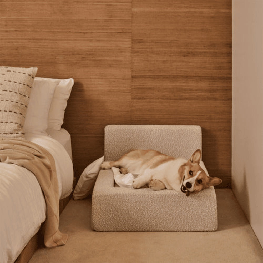 Movable Sponge Pet Sofa Mat & Dog Bed