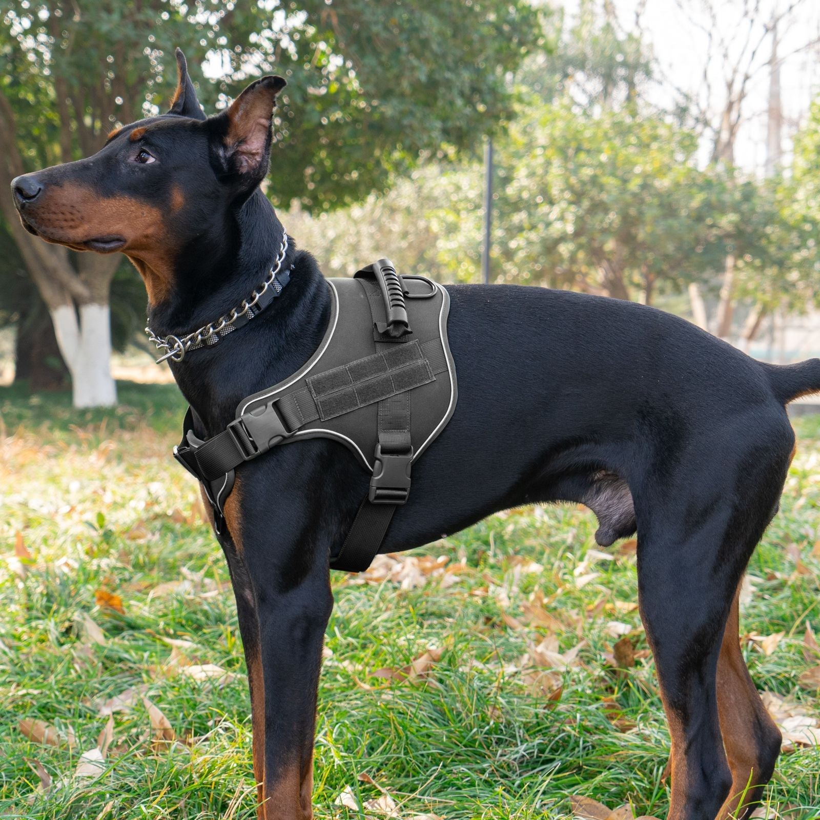 Traction Rope For Large Dogs Breathable Tactical Harness | Purrfect Pet Kingdom