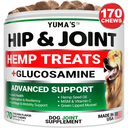 Dog Joint Supplement Hemp Glucosamine MSM Mobility Chews 120ct