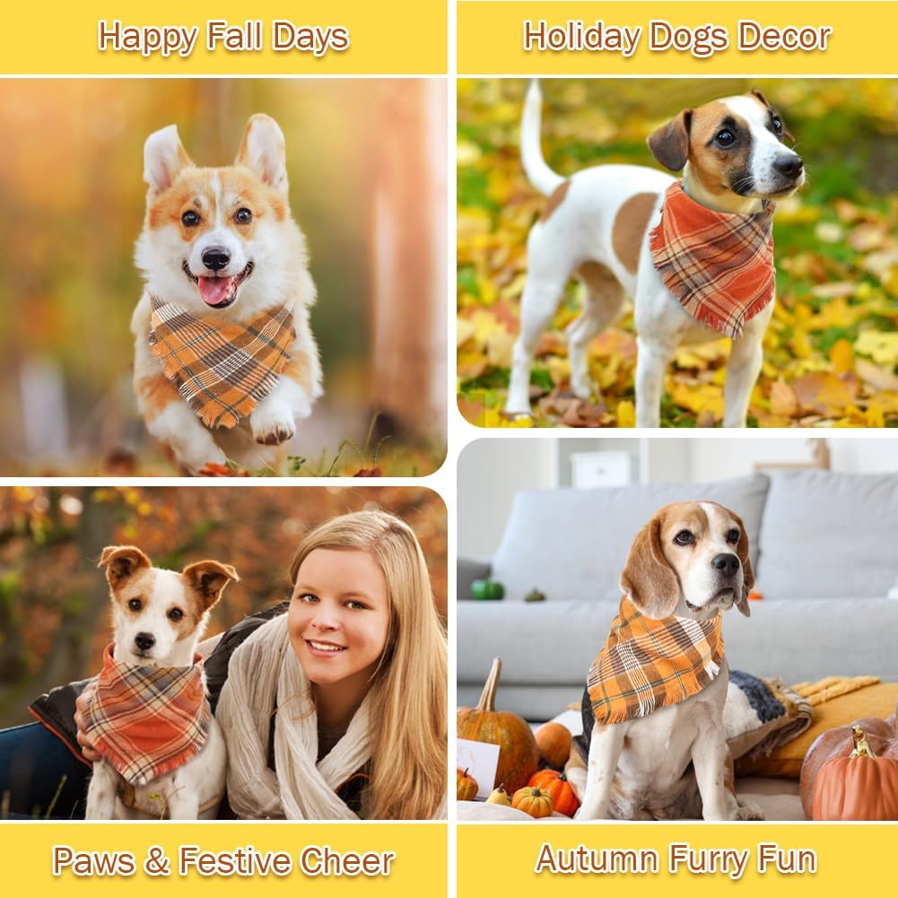 Luxury Pet Essentials - Purrfect Pet Kingdom™