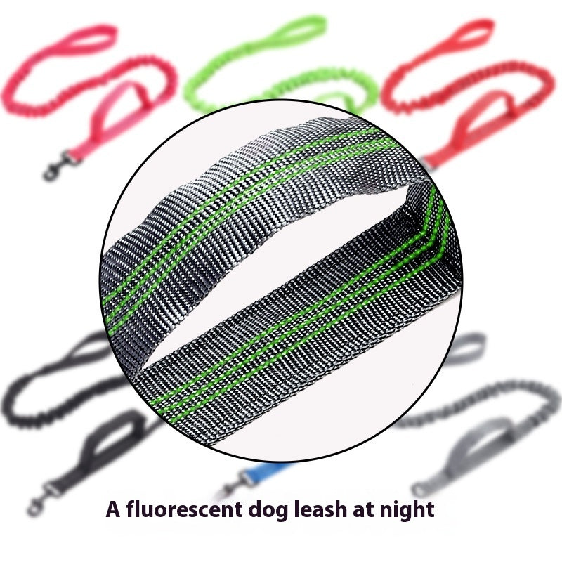 Dog Leash Retractable Elastic Bungee Reflective Lead Strap