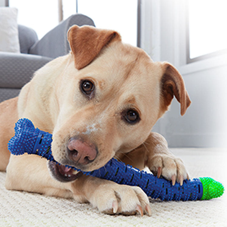 Blue Green Pet Molar Tooth Cleaner Brushing Stick Cleaning Supplies Toothbrush Toys For DogsDog Cleaning