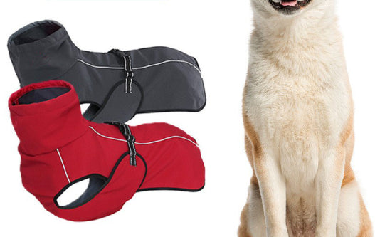 Pet Product - Premium Pet Accessory