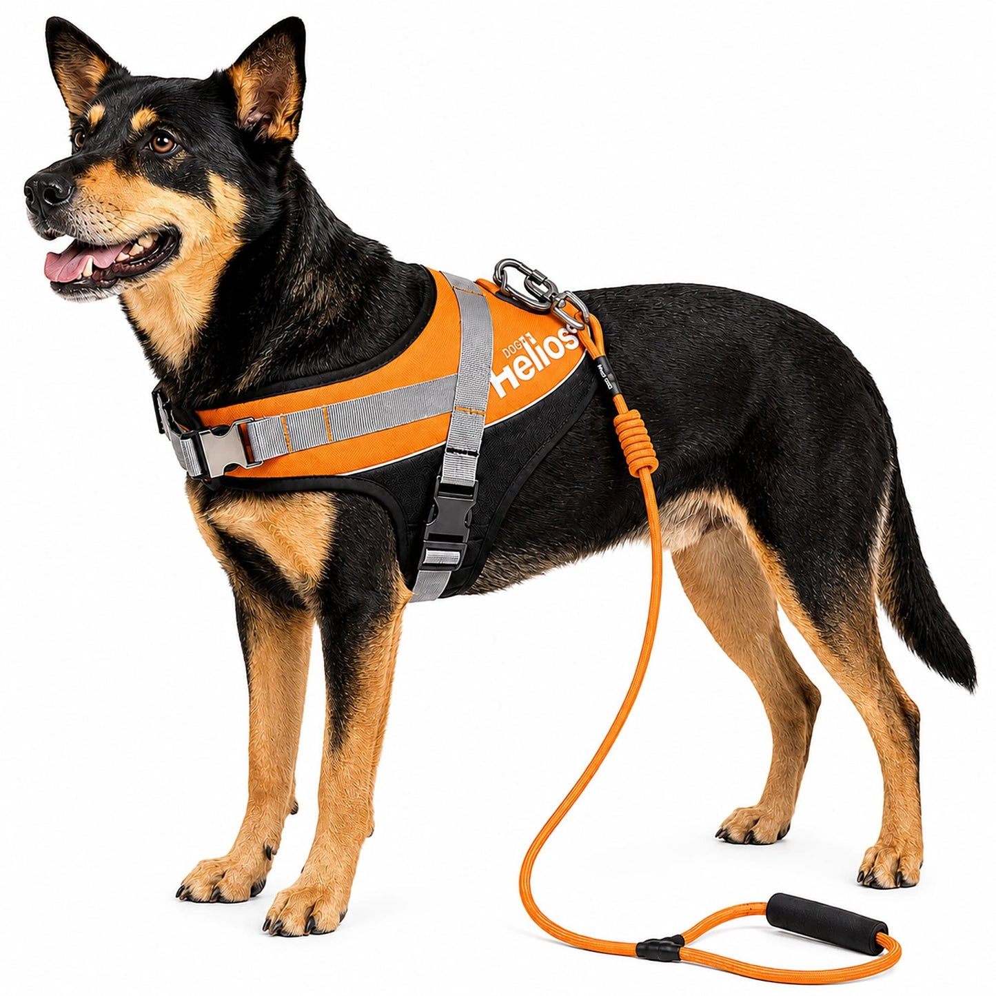 Dog Helios ® 'Bark-Mudder' 2-in-1 Reflective and Adjustable Sporty Dog Harness and Leash