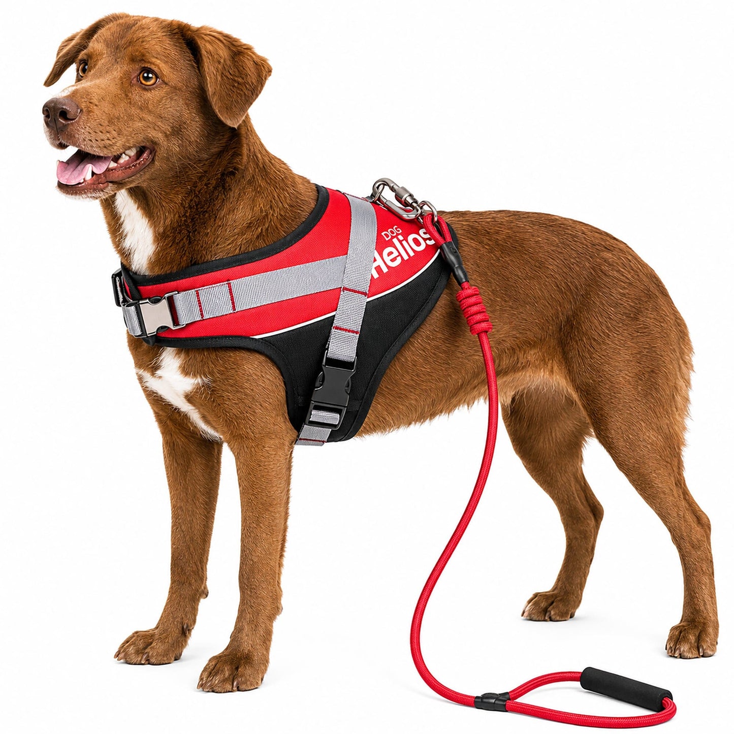 Dog Helios ® 'Bark-Mudder' 2-in-1 Reflective and Adjustable Sporty Dog Harness and Leash