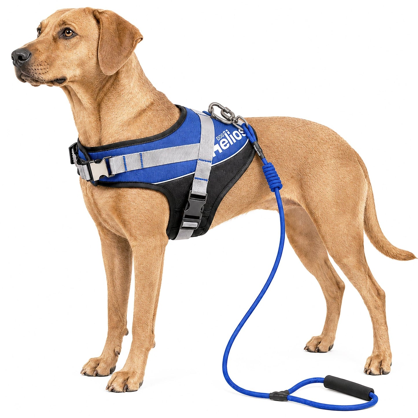 Dog Helios ® 'Bark-Mudder' 2-in-1 Reflective and Adjustable Sporty Dog Harness and Leash