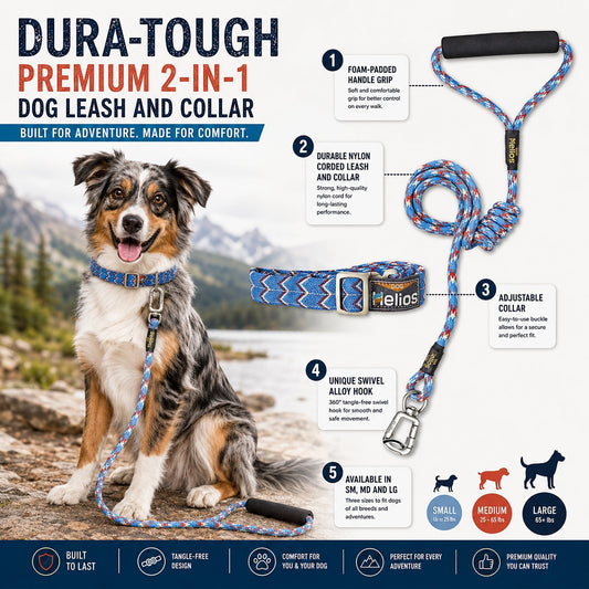 dog-leash-collar-set-2-in-1-reflective-durable-luxury-view-2 | Majestic Pet Kingdom
