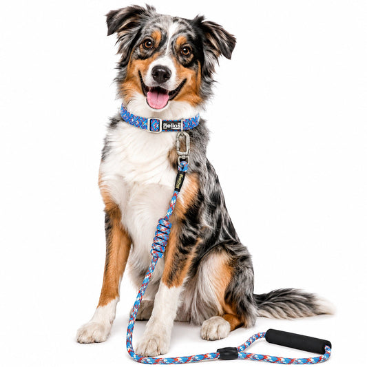 dog-leash-collar-set-2-in-1-reflective-durable-luxury-view-1 | Majestic Pet Kingdom