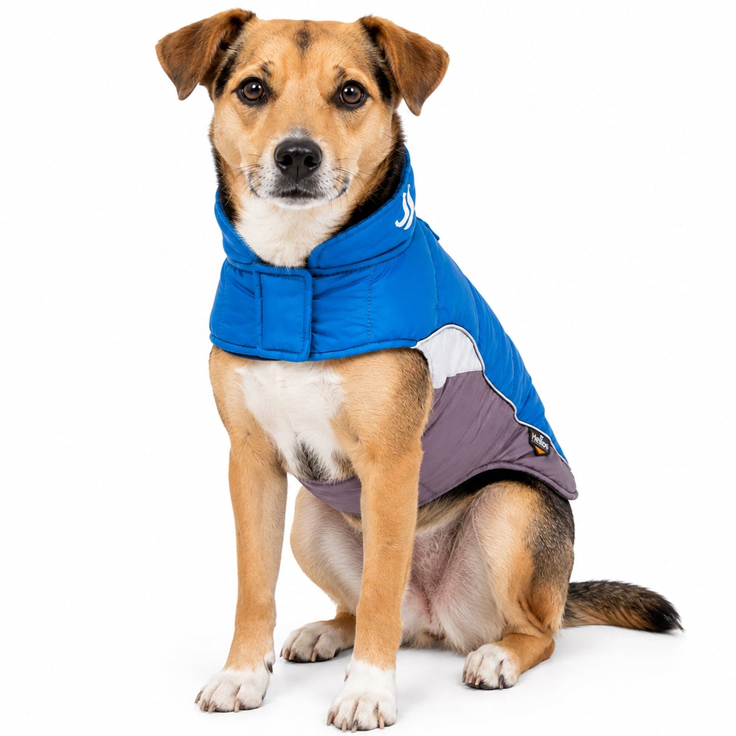 Dog Helios ® Hurricane-Waded Plush 3M Reflective Insulated Winter Dog Coat
