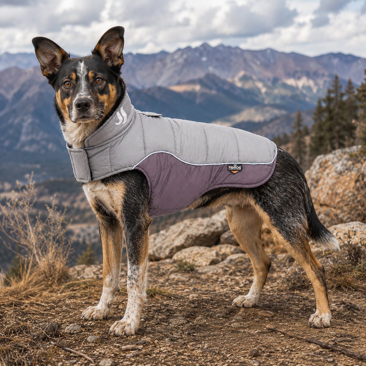 Dog Helios ® Hurricane-Waded Plush 3M Reflective Insulated Winter Dog Coat