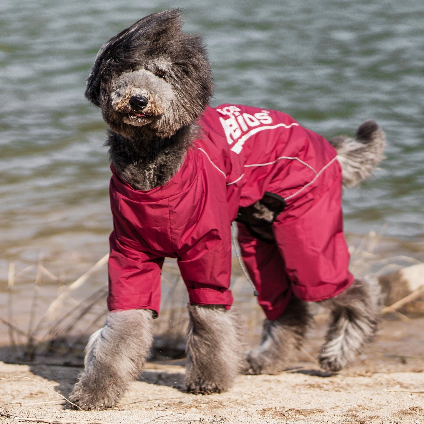 Dog Helios ® 'Hurricanine' Waterproof and Reflective Full Body Dog Coat