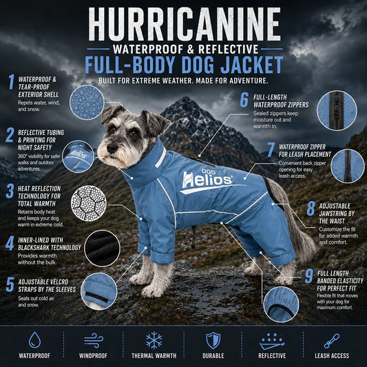 dog-rain-coat-reflective-waterproof-full-body-storm-jacket-luxury-view-2 | Majestic Pet Kingdom