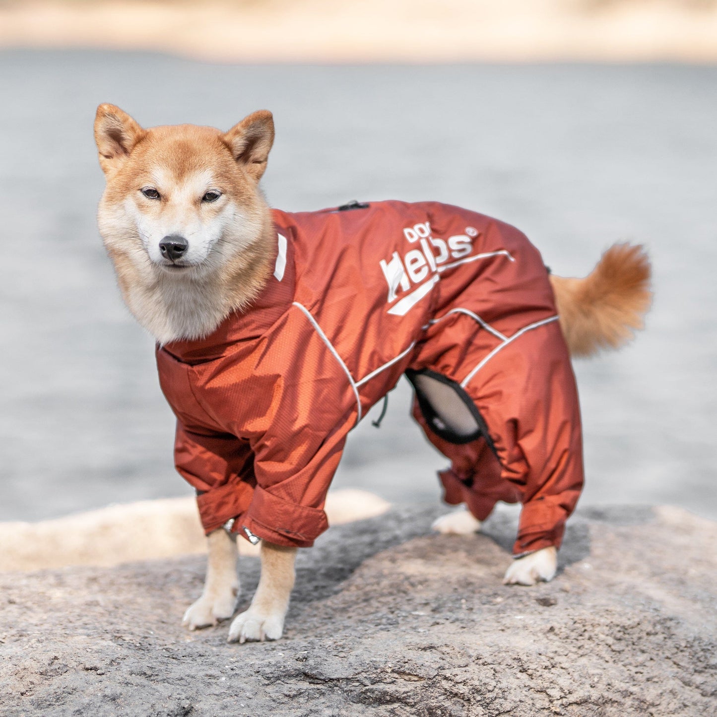 Dog Helios ® 'Hurricanine' Waterproof and Reflective Full Body Dog Coat