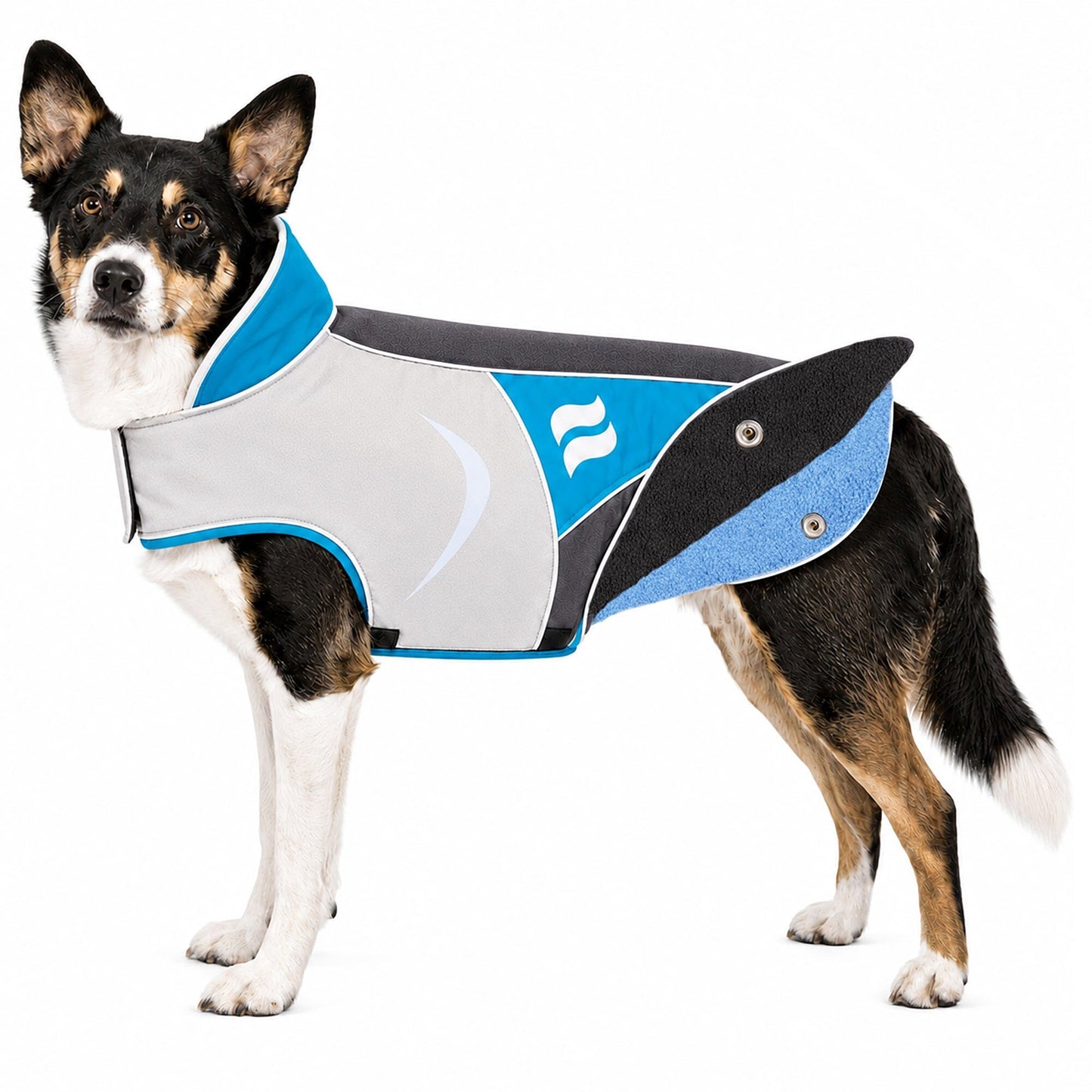 Dog Helios ® Lotus-Rusher 2-in-1 Dual-Removable Layered Performance Dog Jacket
