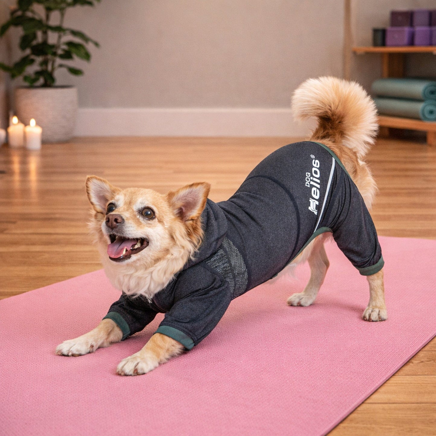 Dog Helios ® 'Namastail' Lightweight 4-Way-Stretch Yoga Performance Dog Tracksuit Hoodie