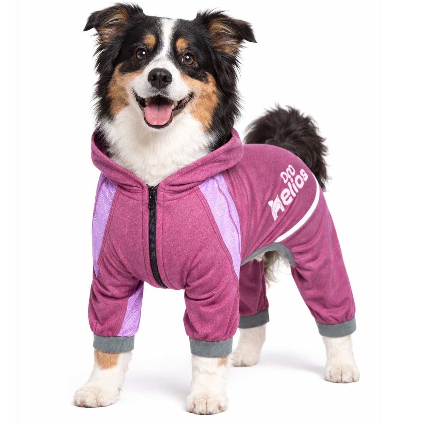 Dog Helios ® 'Namastail' Lightweight 4-Way-Stretch Yoga Performance Dog Tracksuit Hoodie