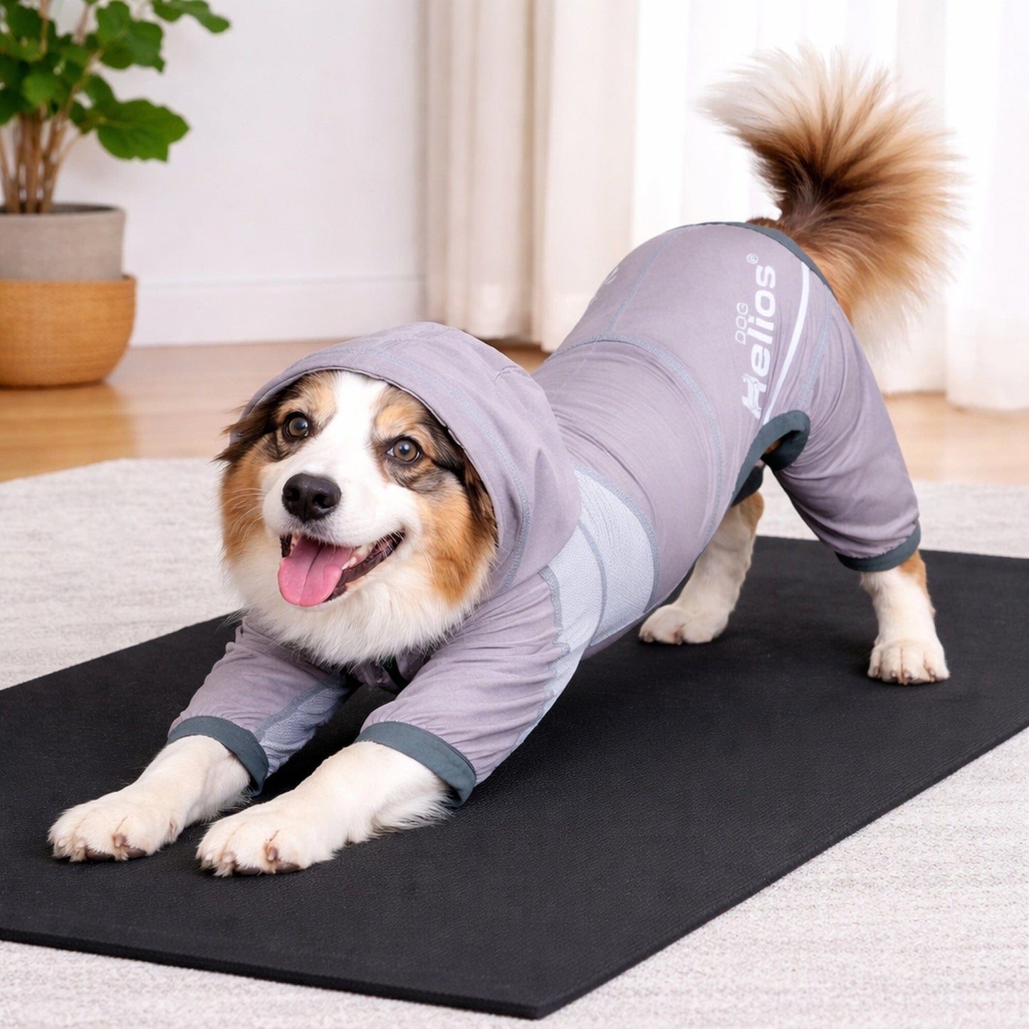 Dog Helios ® 'Namastail' Lightweight 4-Way-Stretch Yoga Performance Dog Tracksuit Hoodie