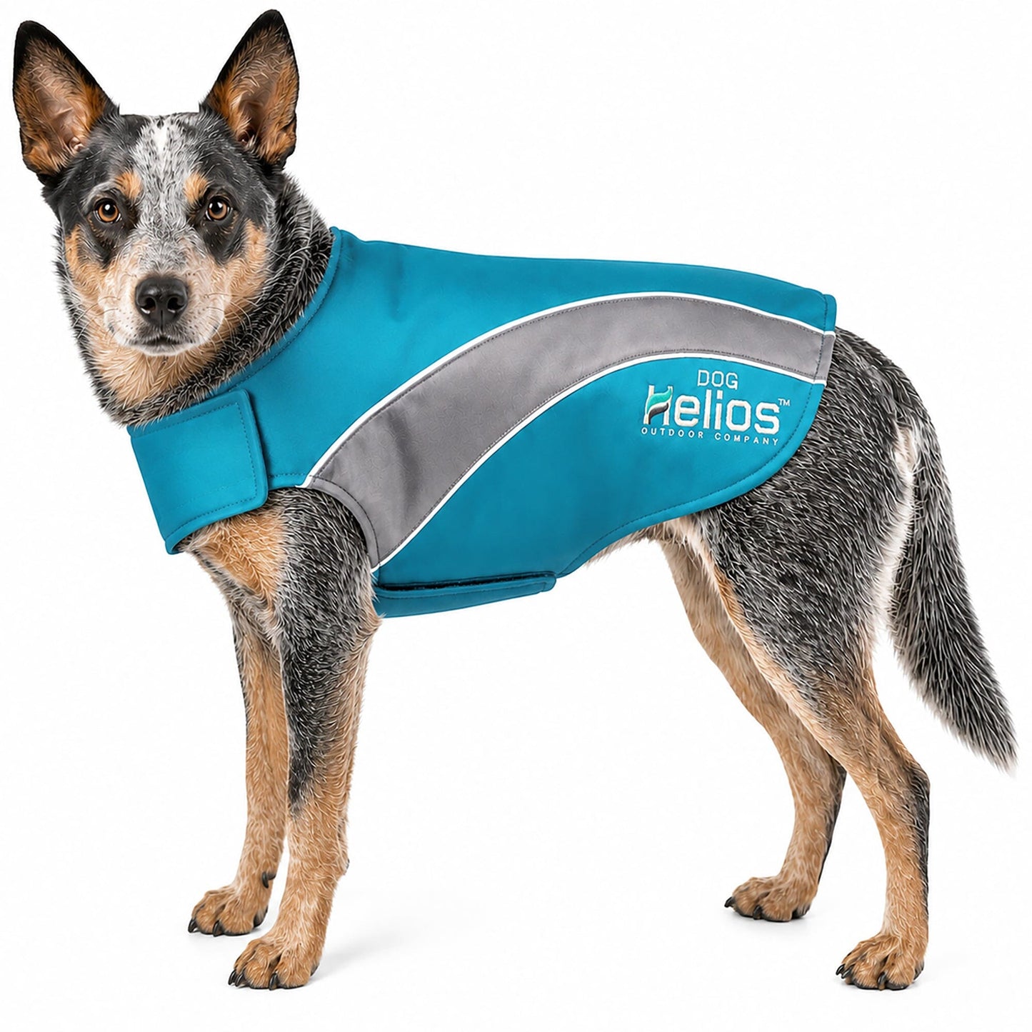 Dog Helios ® Octane Reflective Soft-Shell Neoprene Performance Dog Coat