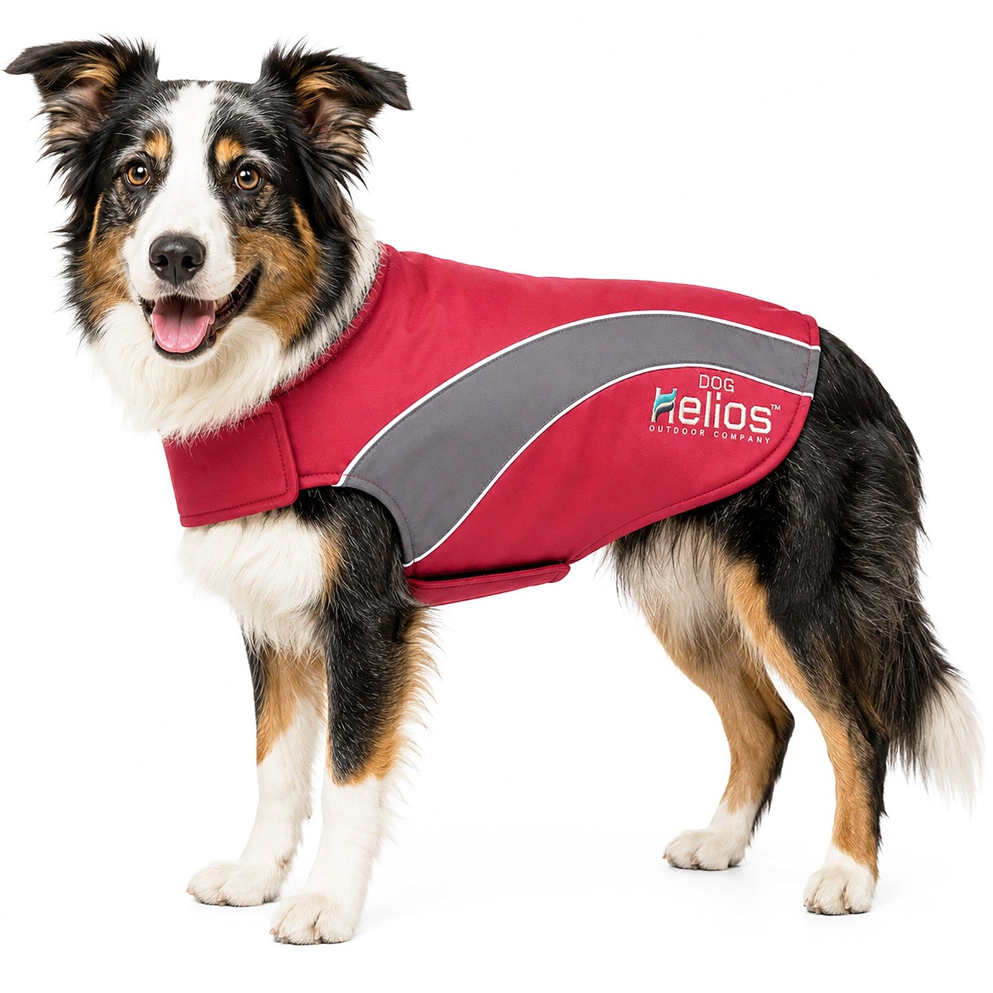 Dog Helios ® Octane Reflective Soft-Shell Neoprene Performance Dog Coat