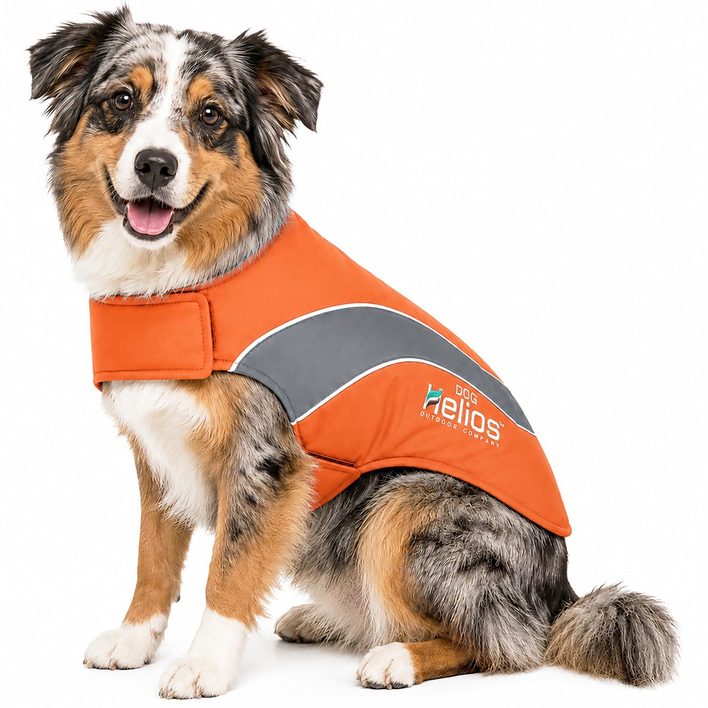 Dog Helios ® Octane Reflective Soft-Shell Neoprene Performance Dog Coat