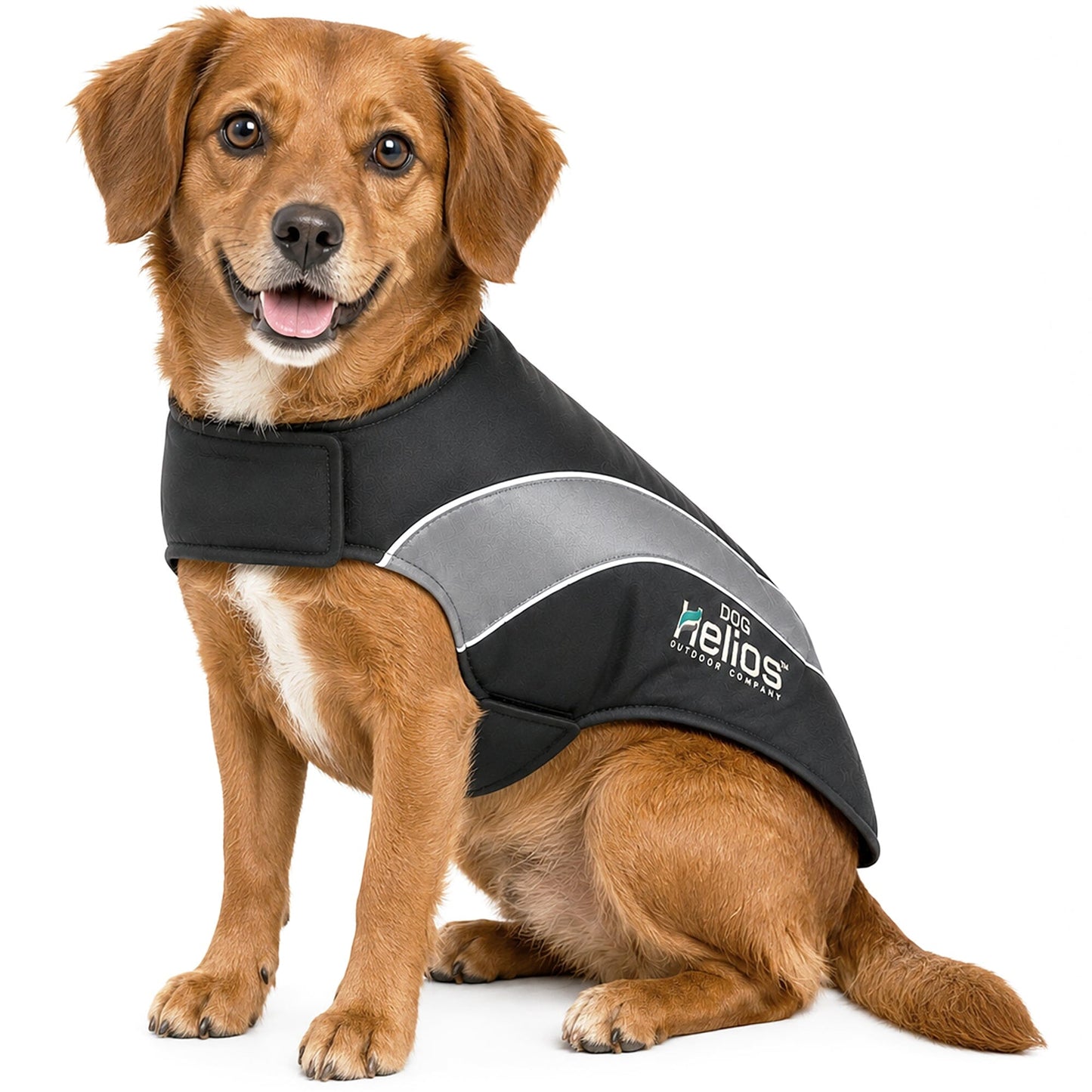 Dog Helios ® Octane Reflective Soft-Shell Neoprene Performance Dog Coat
