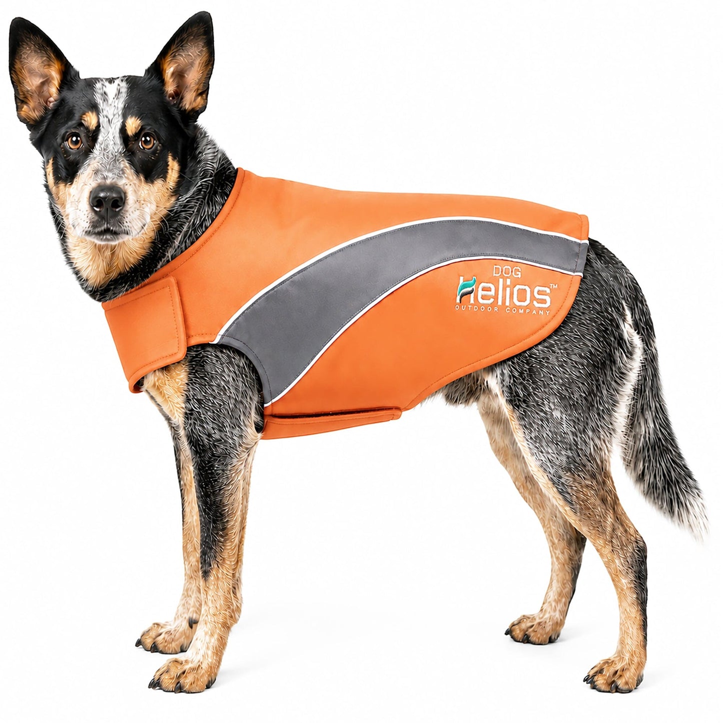 Dog Helios ® Octane Reflective Soft-Shell Neoprene Performance Dog Coat