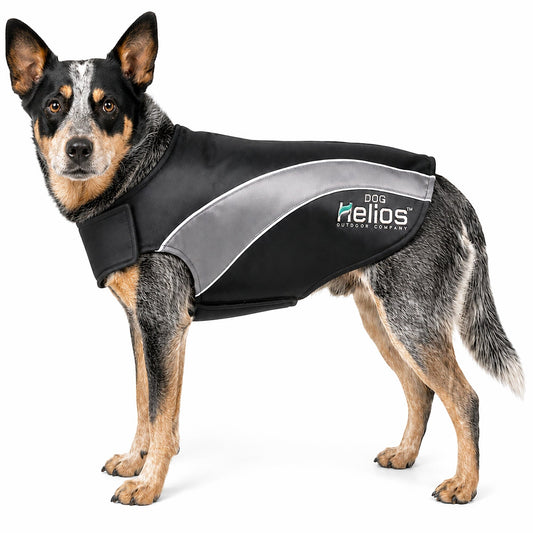 Dog Helios ® Octane Reflective Soft-Shell Neoprene Performance Dog Coat - Main Feature View | Majestic Pet Kingdom