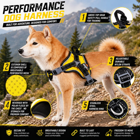 dog-sport-harness-scorpion-permance-free-range-walking-luxury-view-2 | Majestic Pet Kingdom