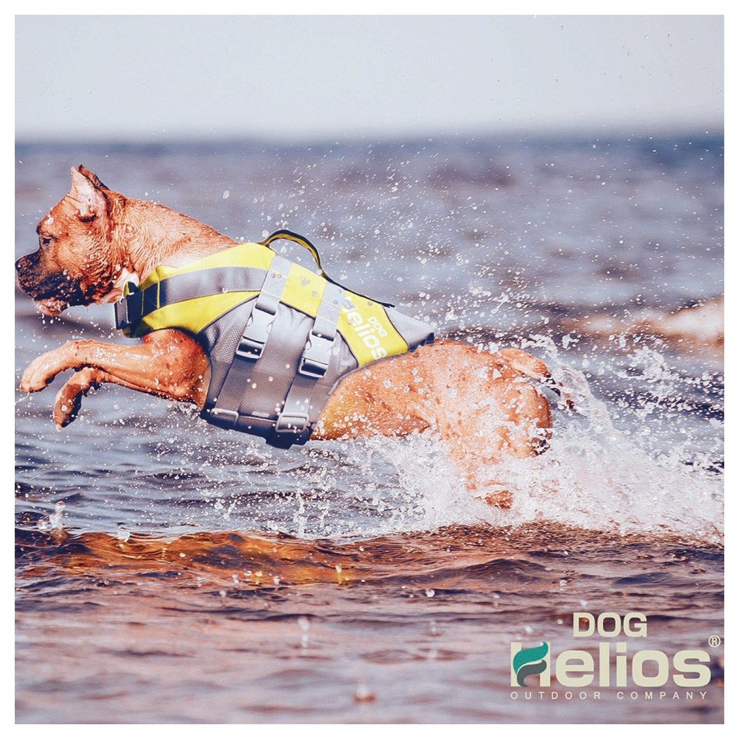 Dog Helios ® 'Splash-Explore' Reflective and Adjustable Floating Safety Dog Life Jacket
