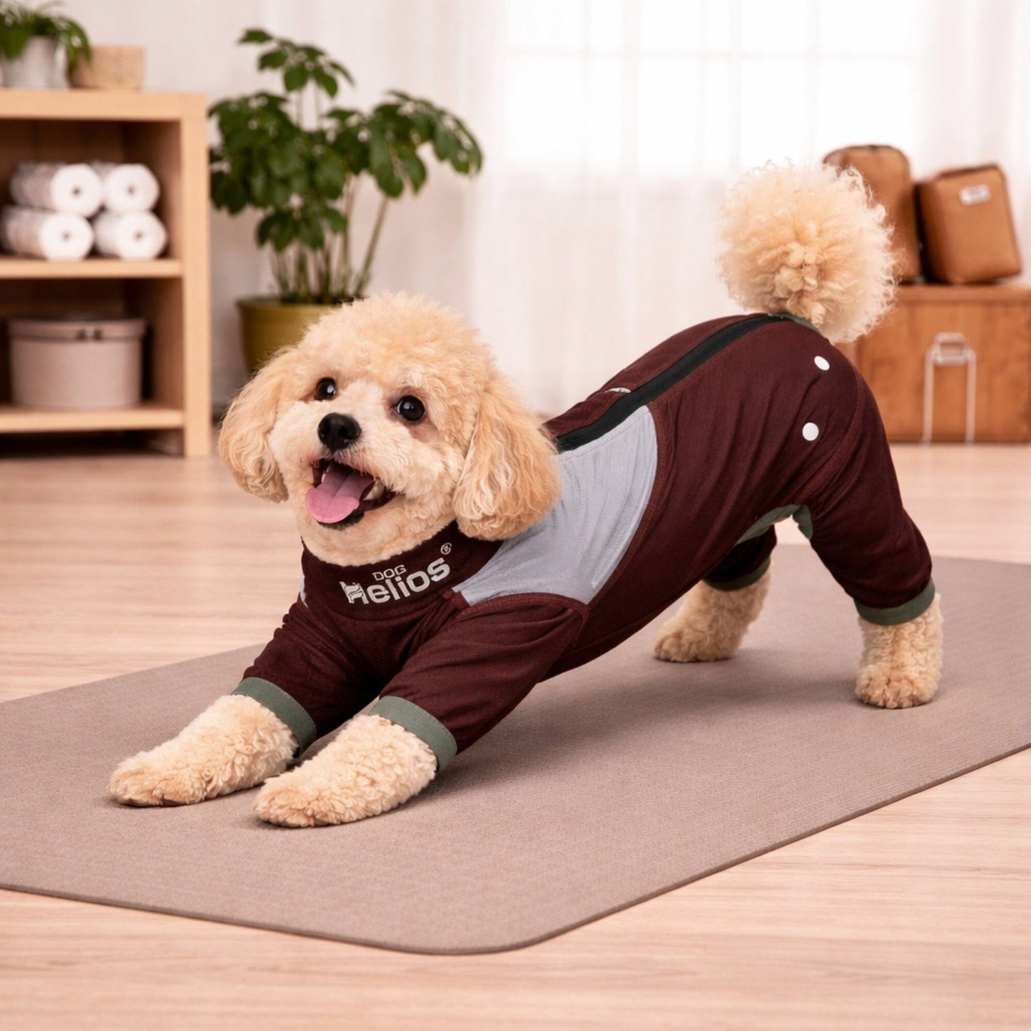 Dog Helios ® 'Tail Runner' Lightweight 4-Way-Stretch Breathable Yoga Dog Tracksuit