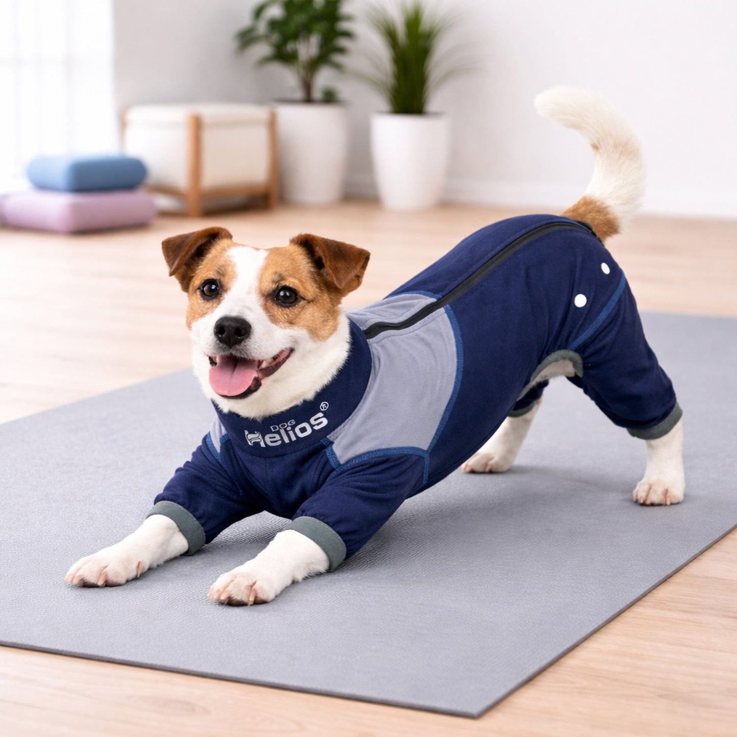 Dog Helios ® 'Tail Runner' Lightweight 4-Way-Stretch Breathable Yoga Dog Tracksuit