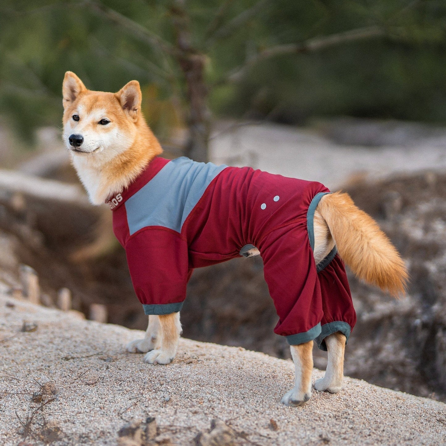 Dog Helios ® 'Tail Runner' Lightweight 4-Way-Stretch Breathable Yoga Dog Tracksuit