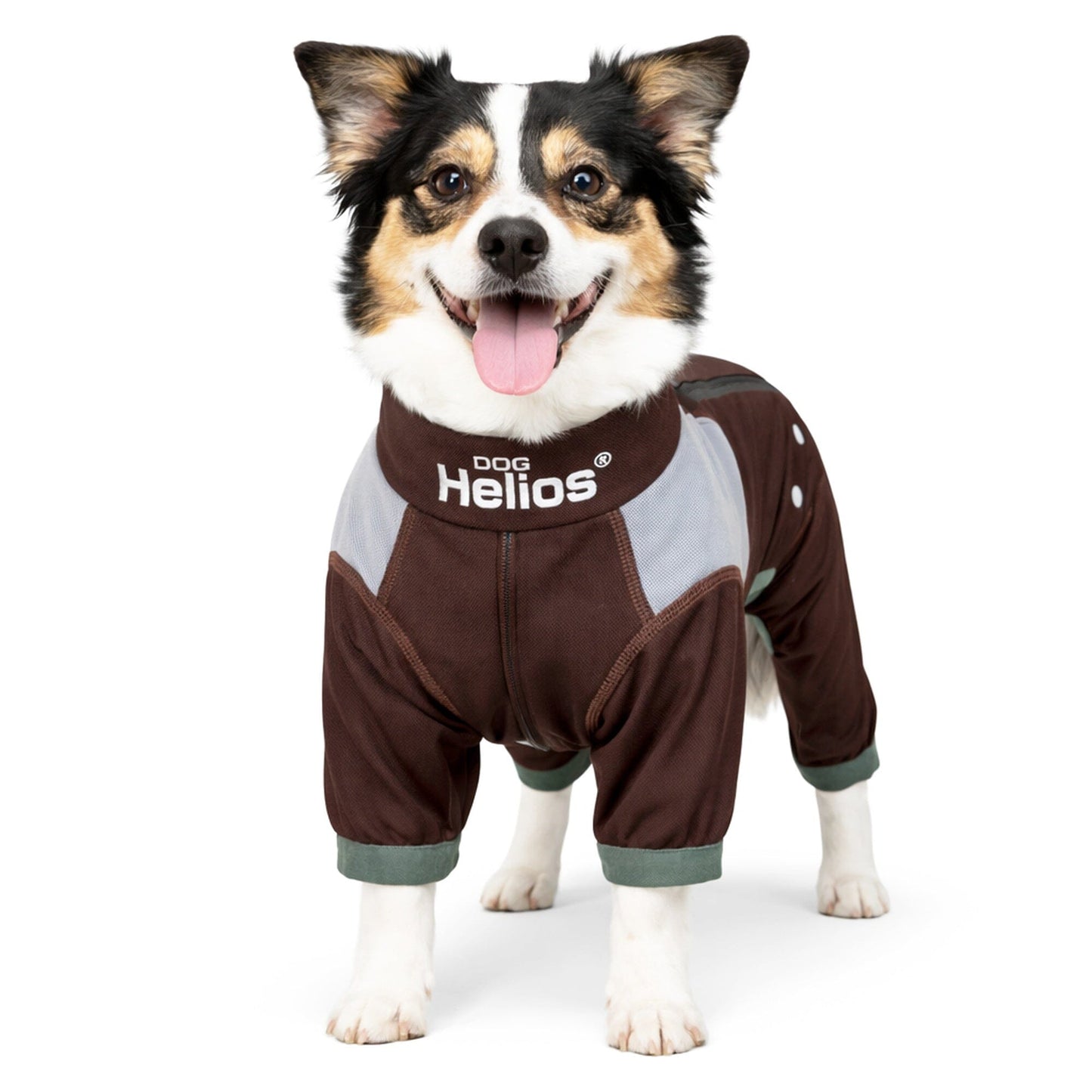 Dog Helios ® 'Tail Runner' Lightweight 4-Way-Stretch Breathable Yoga Dog Tracksuit