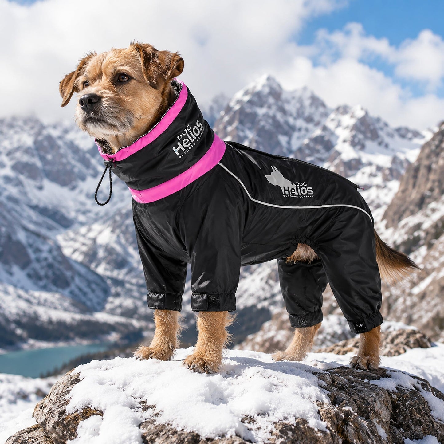 Dog Helios ® Weather-King Ultimate Windproof Full Body Winter Dog Jacket