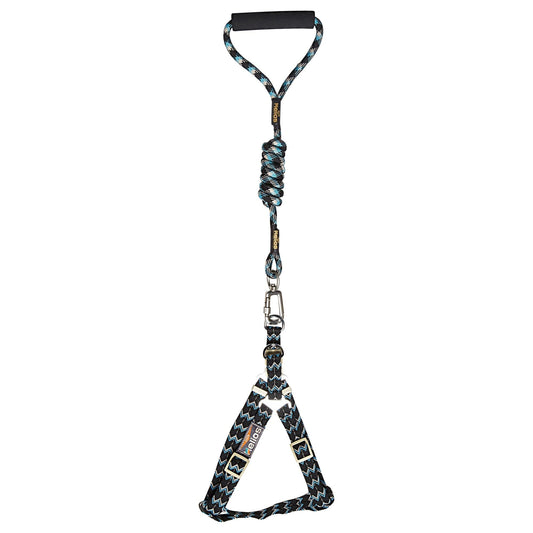 dog-harness-leash-set-surfside-designer-walking-luxury-view-2 | Majestic Pet Kingdom