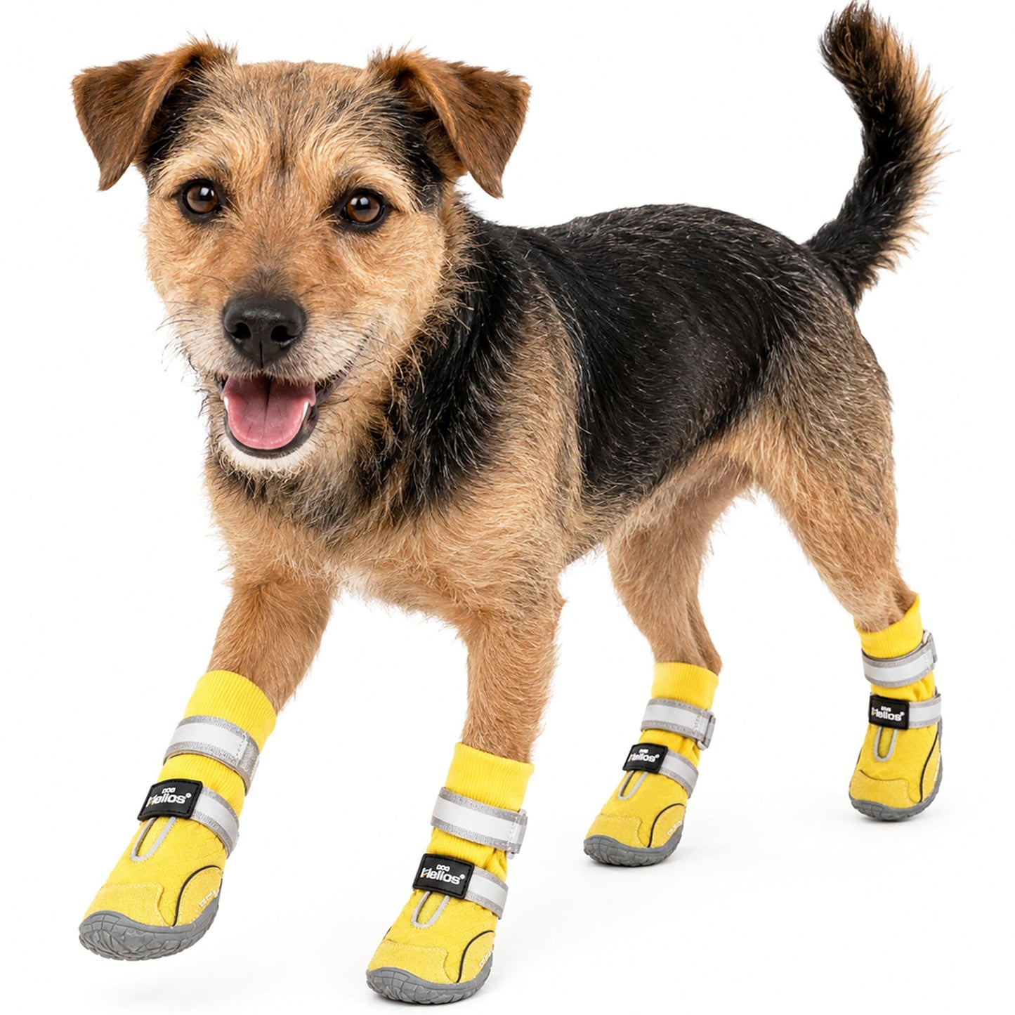 Dog Helios 'Traverse' Premium Grip High-Ankle Outdoor Dog Boots - Set Of 4