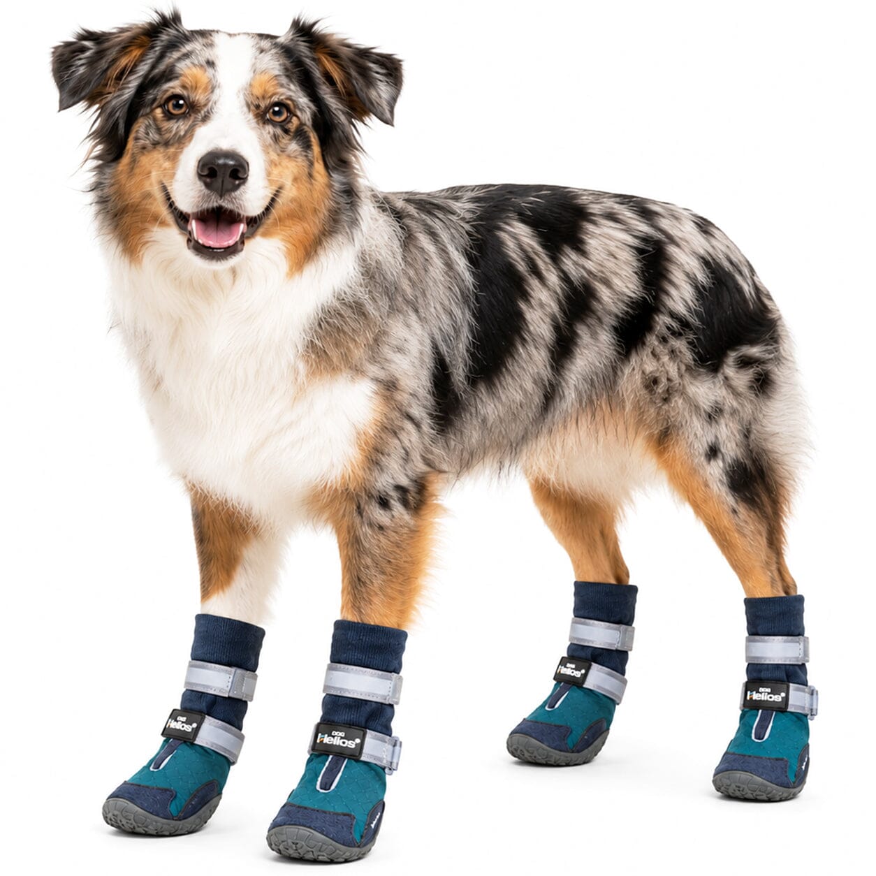 Dog Helios 'Traverse' Premium Grip High-Ankle Outdoor Dog Boots - Set Of 4