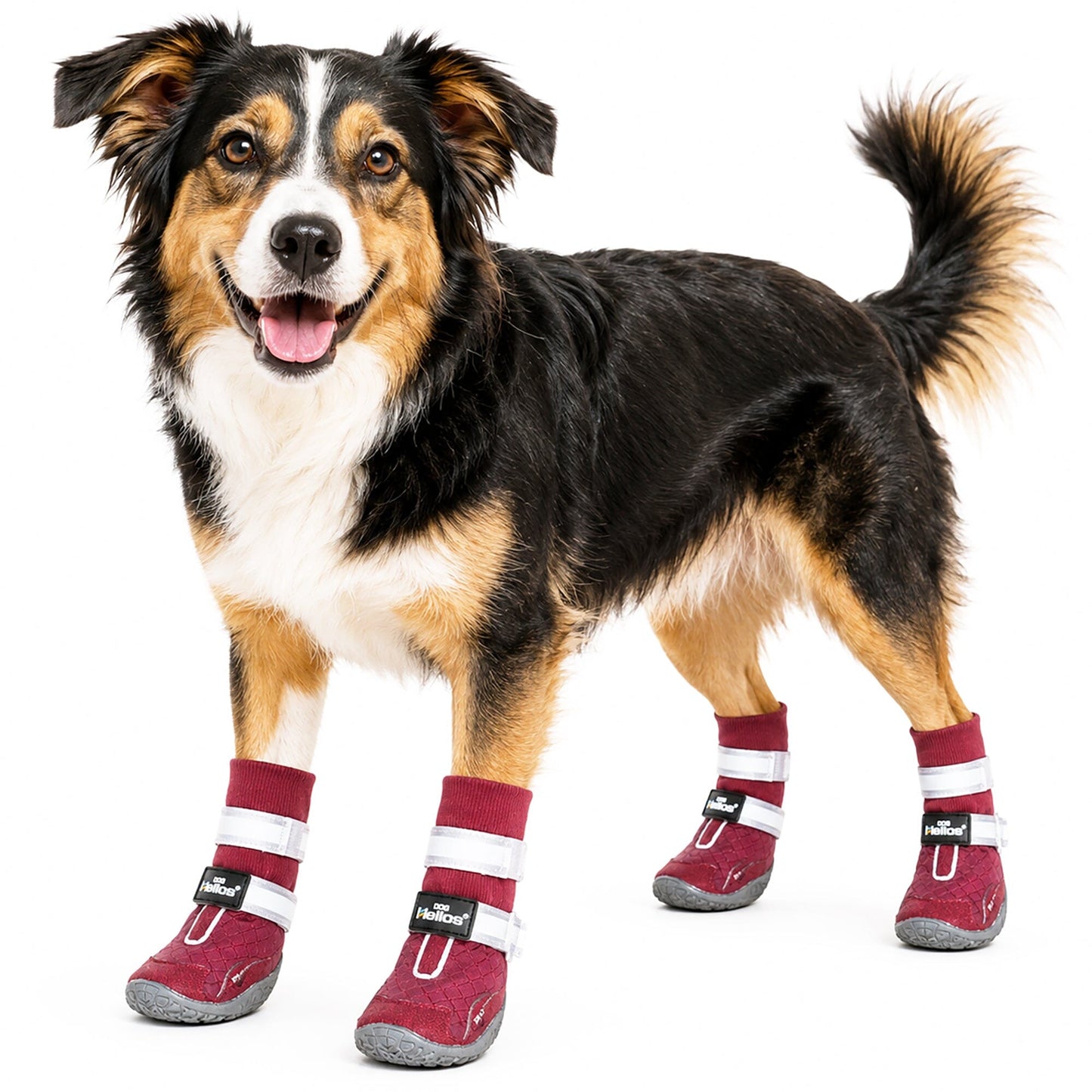 Dog Helios 'Traverse' Premium Grip High-Ankle Outdoor Dog Boots - Set Of 4