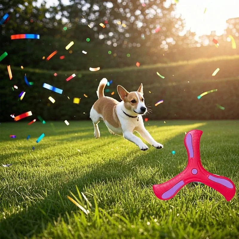 Luxury Pet Essentials - Purrfect Pet Kingdom™