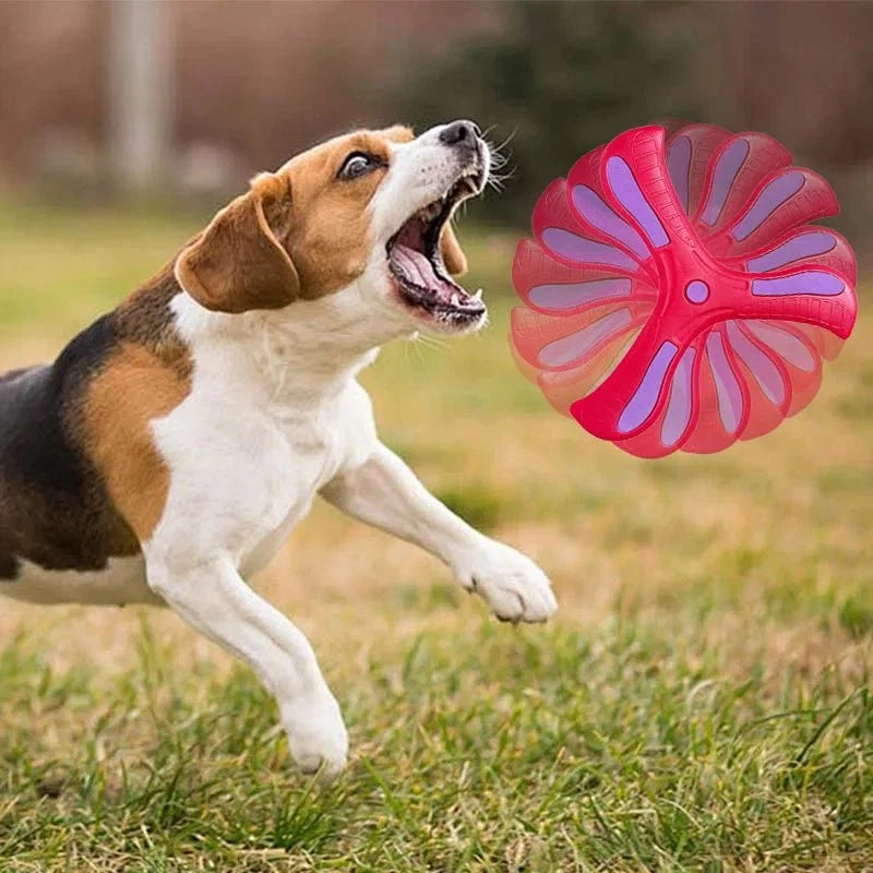 Luxury Pet Essentials - Purrfect Pet Kingdom™
