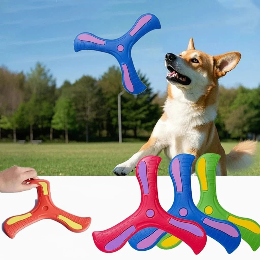 Dog Training Boomerang Interactive Fetch Toy Interactive Pet Toy | Majestic Pet Kingdom™