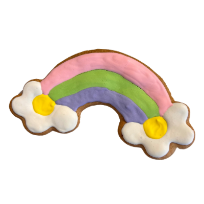Homemade Rainbow Cookie Iced Gourmet Dog Treat - 1 pc