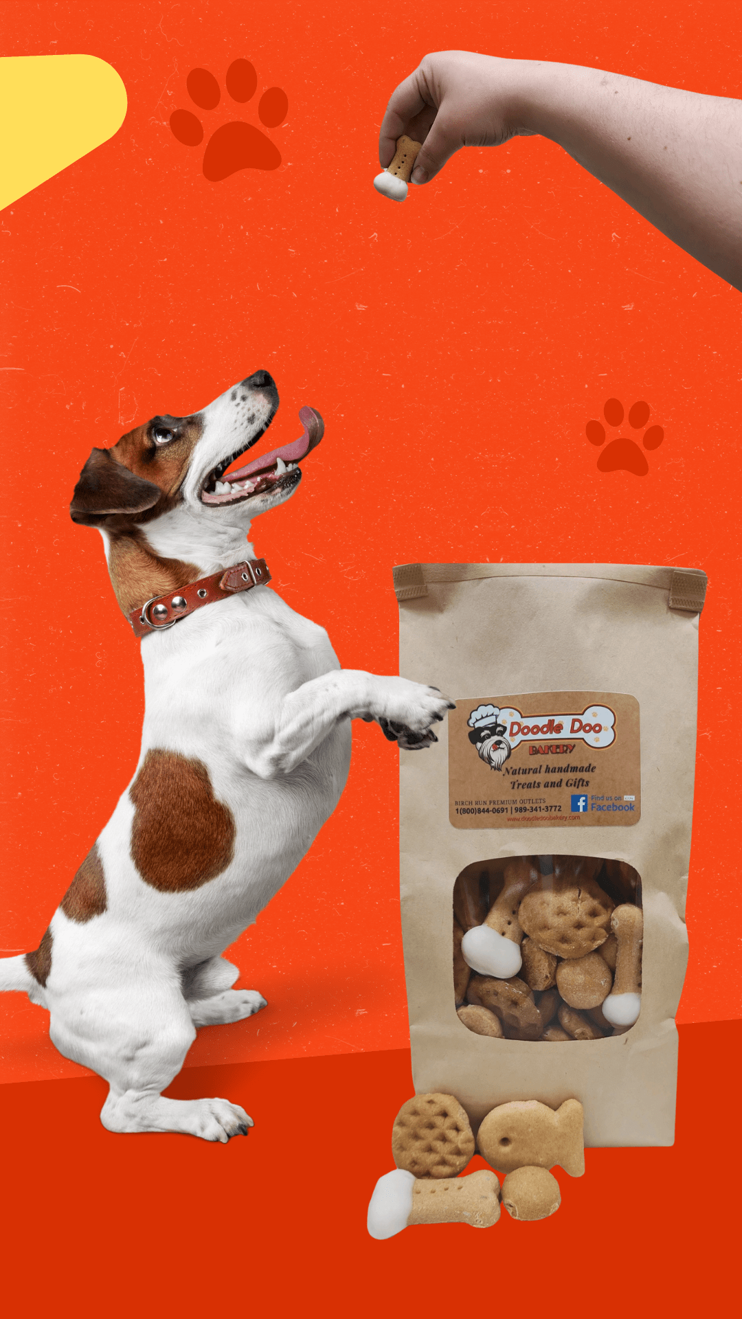 Dog Treats Homemade Variety Mix Snack Party Bag 16oz Pouch