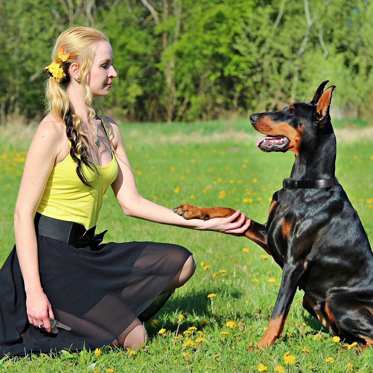 Dog Bark Collar IP67 Waterproof Rechargeable Dog Training Receiver Shock Collar Receiver with Beep Vibration Shock 9 Levels 1640ft Remote Range - Majestic Pet Kingdom