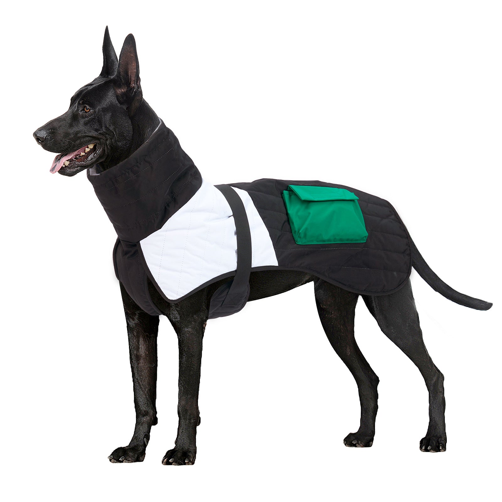 Premium Pet Product Premium Quality Product Essential Pet Su